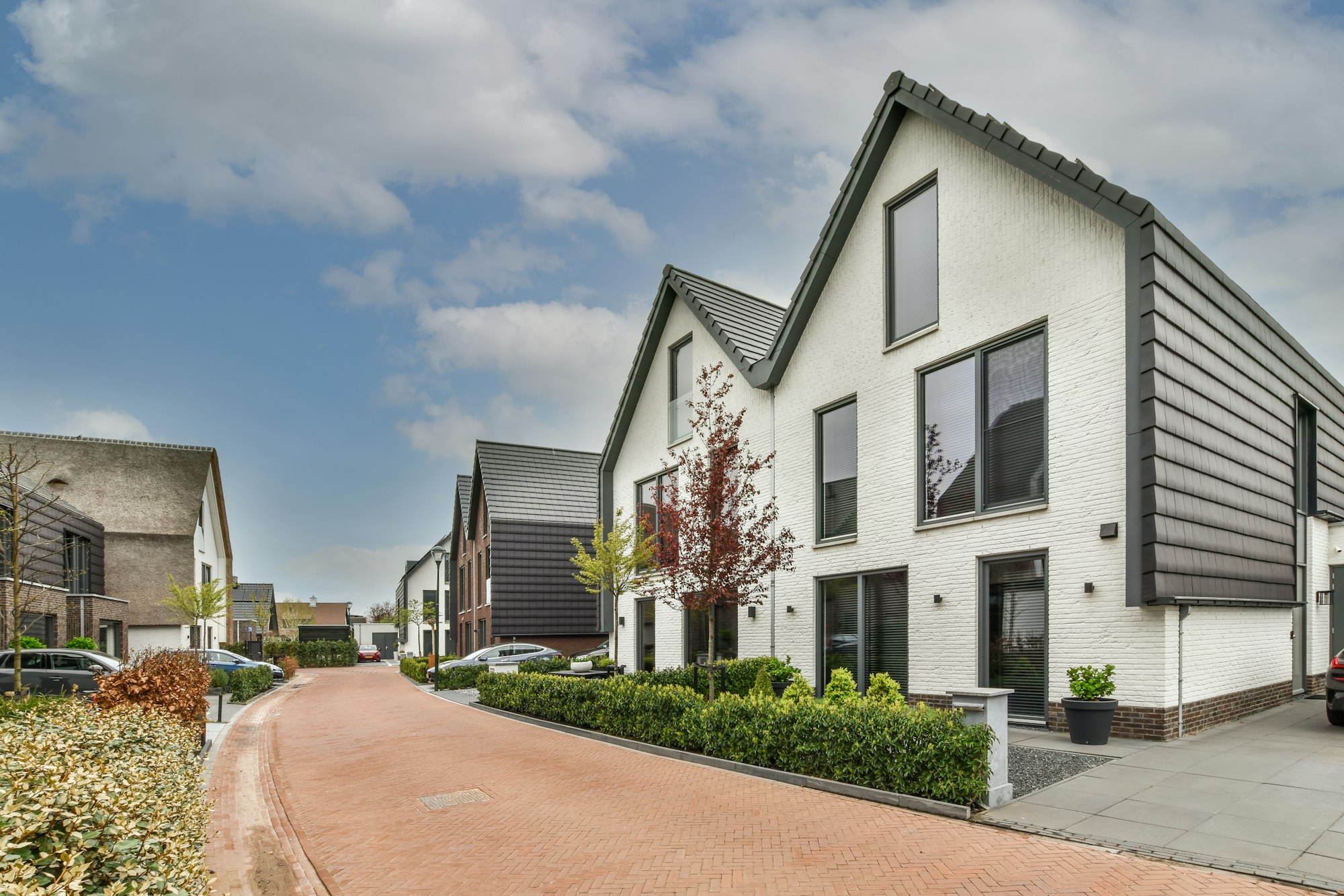 Panoramic view of modern houses
